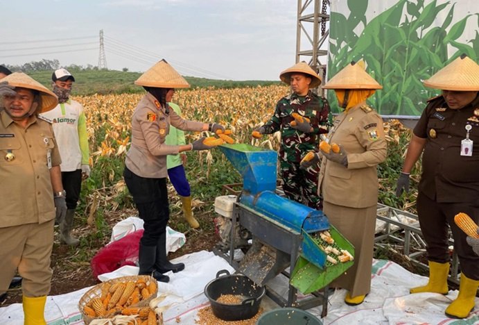 Polres Semarang Panen Raya Jagung