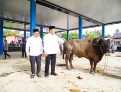 Bupati Muba Tinjau Penyembelihan Kurban di Sungai Angit, Dua Sapi Limosin Diserahkan untuk Warga