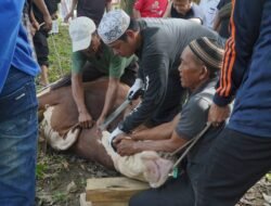 Tebar Kurban hingga Bantuan Sajadah, Cik Ujang Maknai Idul Adha dengan Kepedulian Sosial