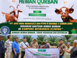 PT Jaya Wira Manggala Dan PTPN IV Regional 6 Kebun Lama Serahkan Bantuan Hewan Qurban ke Gampong Meurandeh Kloneng