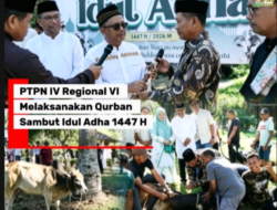 Semangat Berbagi, PTPN IV Regional VI Melaksanakan Qurban Sambut Idul Adha 1447 H
