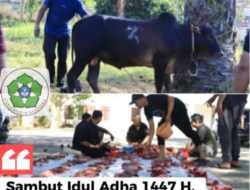 Sambut Idul Adha 1447 H, Universitas Samudra Melaksanakan Qurban 27 Ekor Sapi