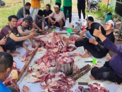 2 Sapi dan 4 Kambing Disembelih di Yayasan Kauny Insanul Quran Palembang saat Idul Adha 1447 H
