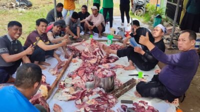 2 Sapi dan 4 Kambing Disembelih di Yayasan Kauny Insanul Quran Palembang saat Idul Adha 1447 H