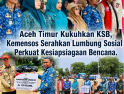 Aceh Timur Kukuhkan KSB, Kemensos Serahkan Lumbung Sosial Perkuat Kesiapsiagaan Bencana