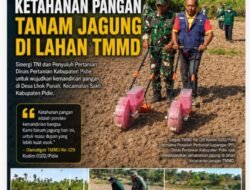 Satgas TMMD Ke-129 Pidie Dorong Warga Olah Lahan Kosong Tanam Jagung
