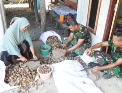 Tak Hanya Bangun Infrastruktur, Satgas TMMD ke 129 Kodim 0102/Pidie Bantu Warga Kupas Pinang,Perkuat Kemanunggalan TNI dan Rakyat