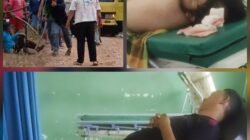 Bupati Palas Didesak Copot Kades Gunung Malintang, : Buntut dari dugaan Keterlibatan kasus Penganiayaan di dusun balaka