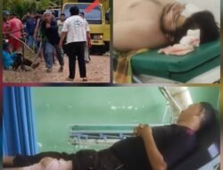 Bupati Palas Didesak Copot Kades Gunung Malintang, : Buntut dari dugaan Keterlibatan kasus Penganiayaan di dusun balaka