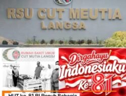 HUT ke-81 RI Penuh Bahagia, 13 Bayi Lahir Sehat di RS Cut Meutia Langsa   