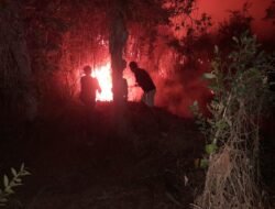 Babinsa Bukit Baru Gerak Cepat Padamkan Kebakaran Lahan 0,5 Hektare di Tanjung Aur