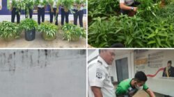 Karutan Kelas I Palembang Bersama Jajaran Panen Kangkung, Dukung Ketahanan Pangan dan Optimalisasi Lahan Produktif