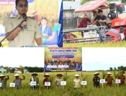 Pemerintah Aceh dan Pemko Langsa Panen Raya Padi Tahun 2026